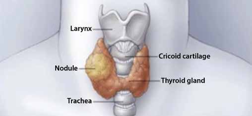 medical-guidelines-for-clinical-practice-for-the-diagnosis-and